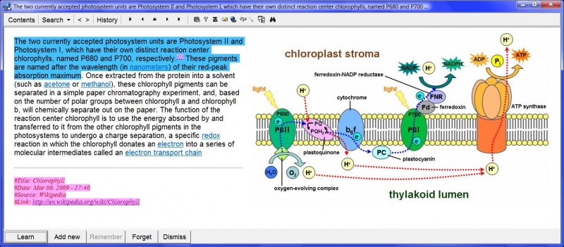 SuperMemo: The element window displaying an extract produced from a larger article titled Chlorophyll imported from Wikipedia