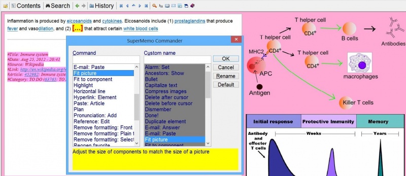 SuperMemo: A cloze deletion whose formulation is improved incrementally over many repetitions in accordance with the principle: "one memory, one action"